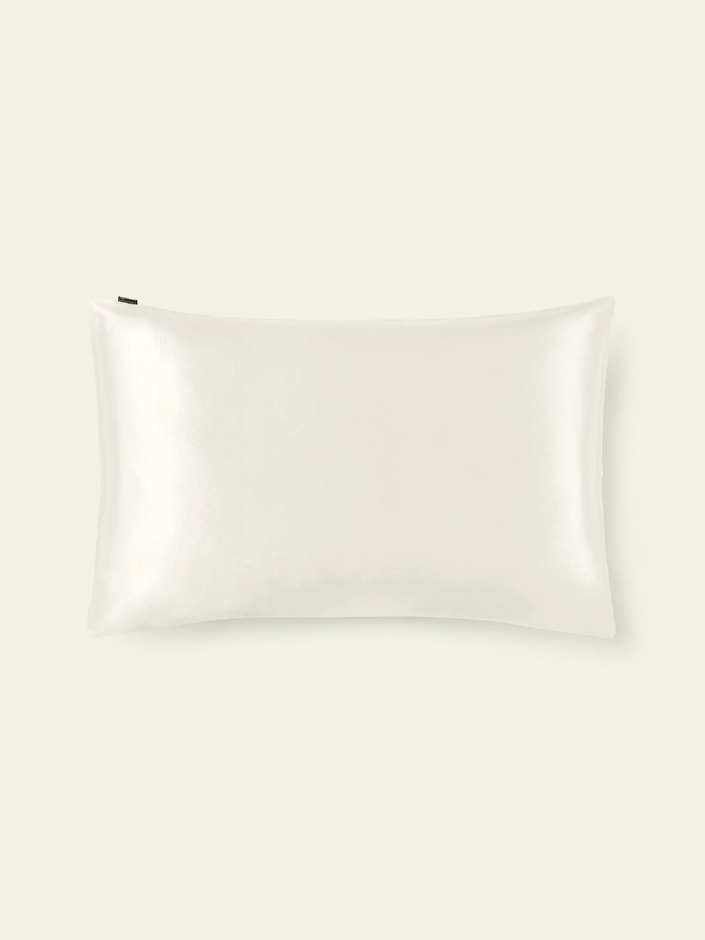 19 Momme Terse Silk Pillowcase Natural White Standard