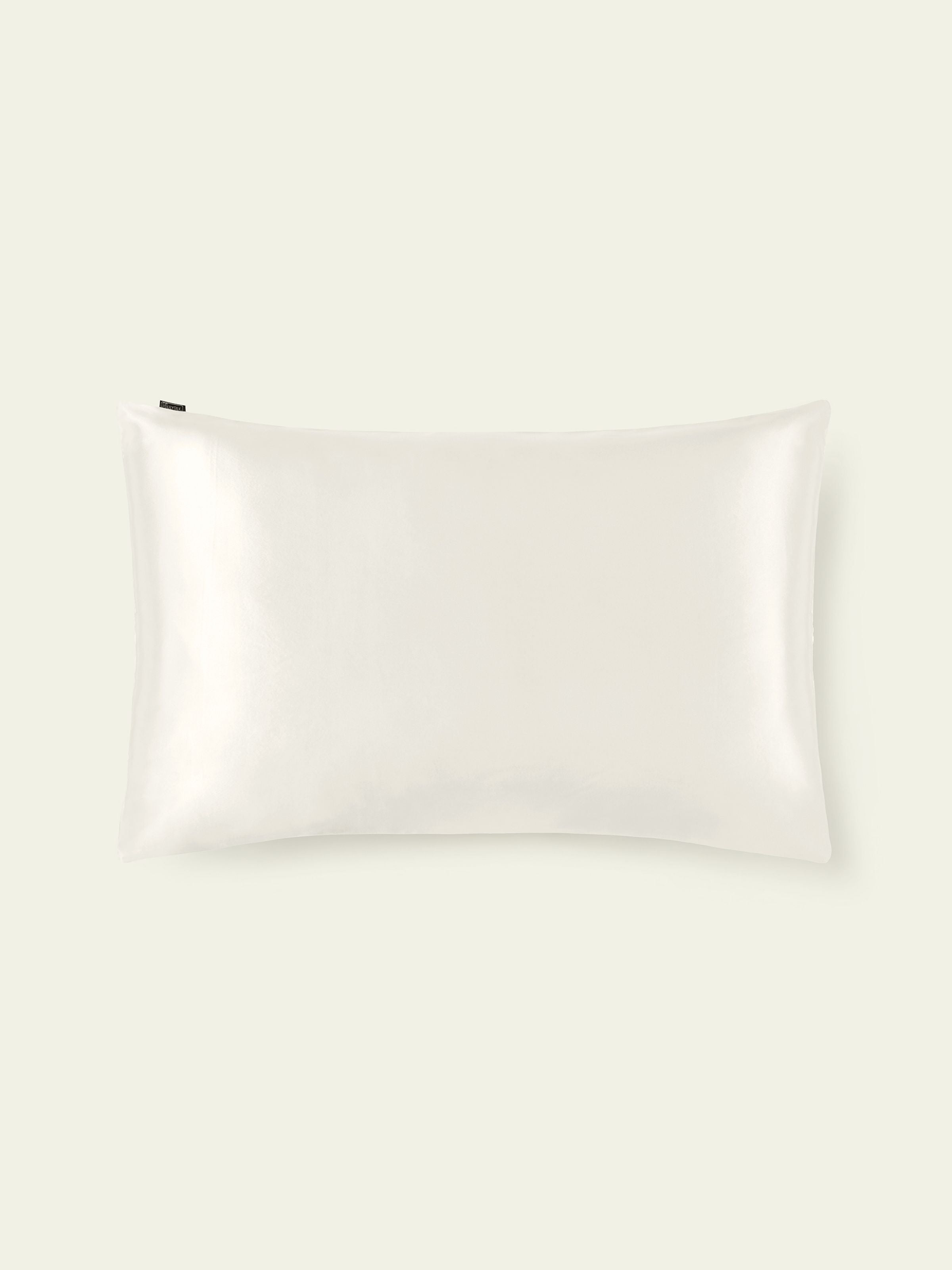 19 Momme Terse Silk Pillowcase Natural White Standard