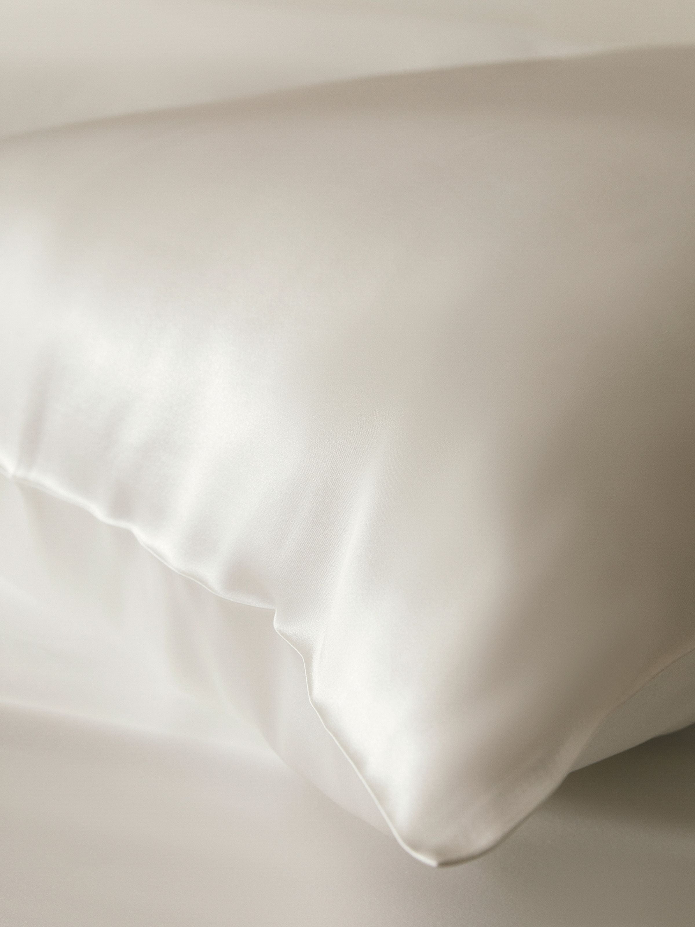19 Momme Terse Silk Pillowcase Natural White Standard