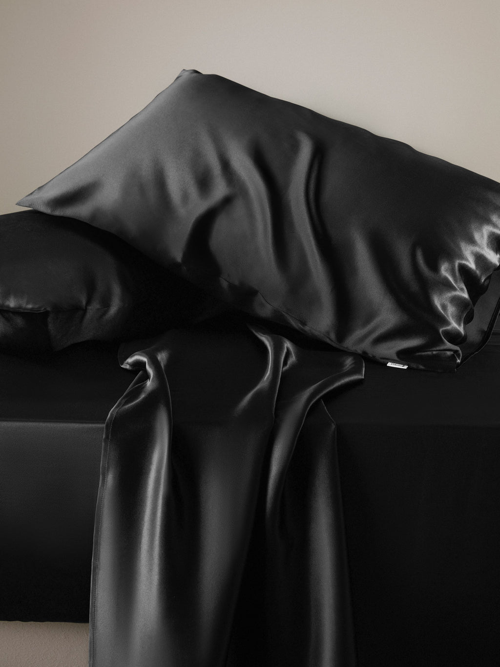 19 Momme Terse Silk Pillowcase Black Standard
