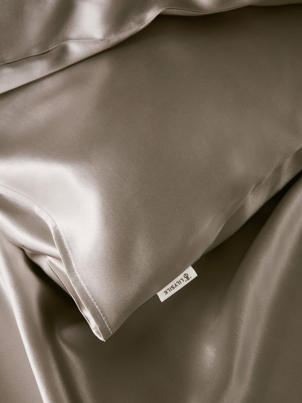 19 Momme Terse Silk Pillowcase Silvergray Standard