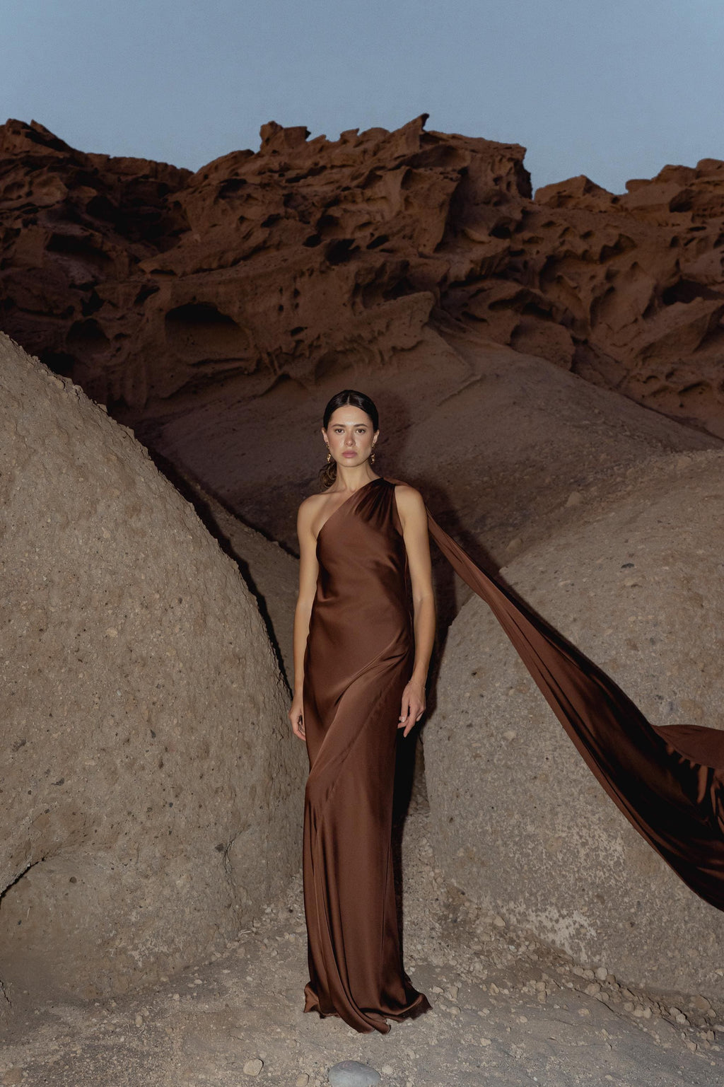 Satin Silk Maxi Dress: Brown Backless Wedding Guest Dress