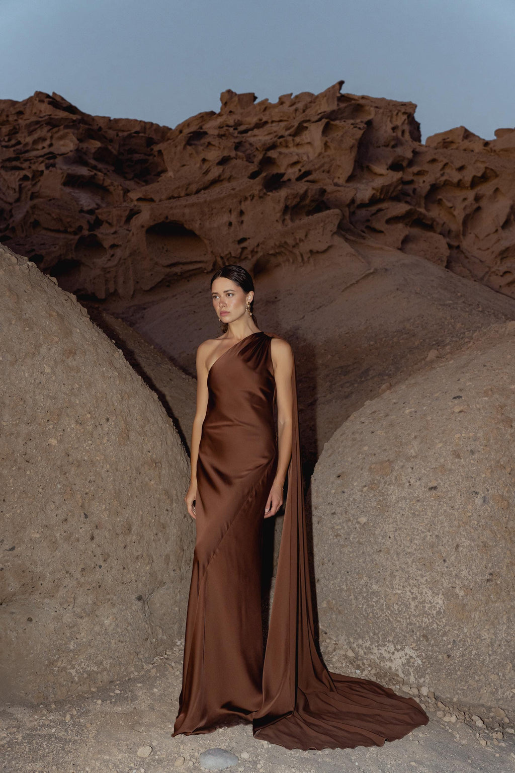 Satin Silk Maxi Dress: Brown Backless Wedding Guest Dress