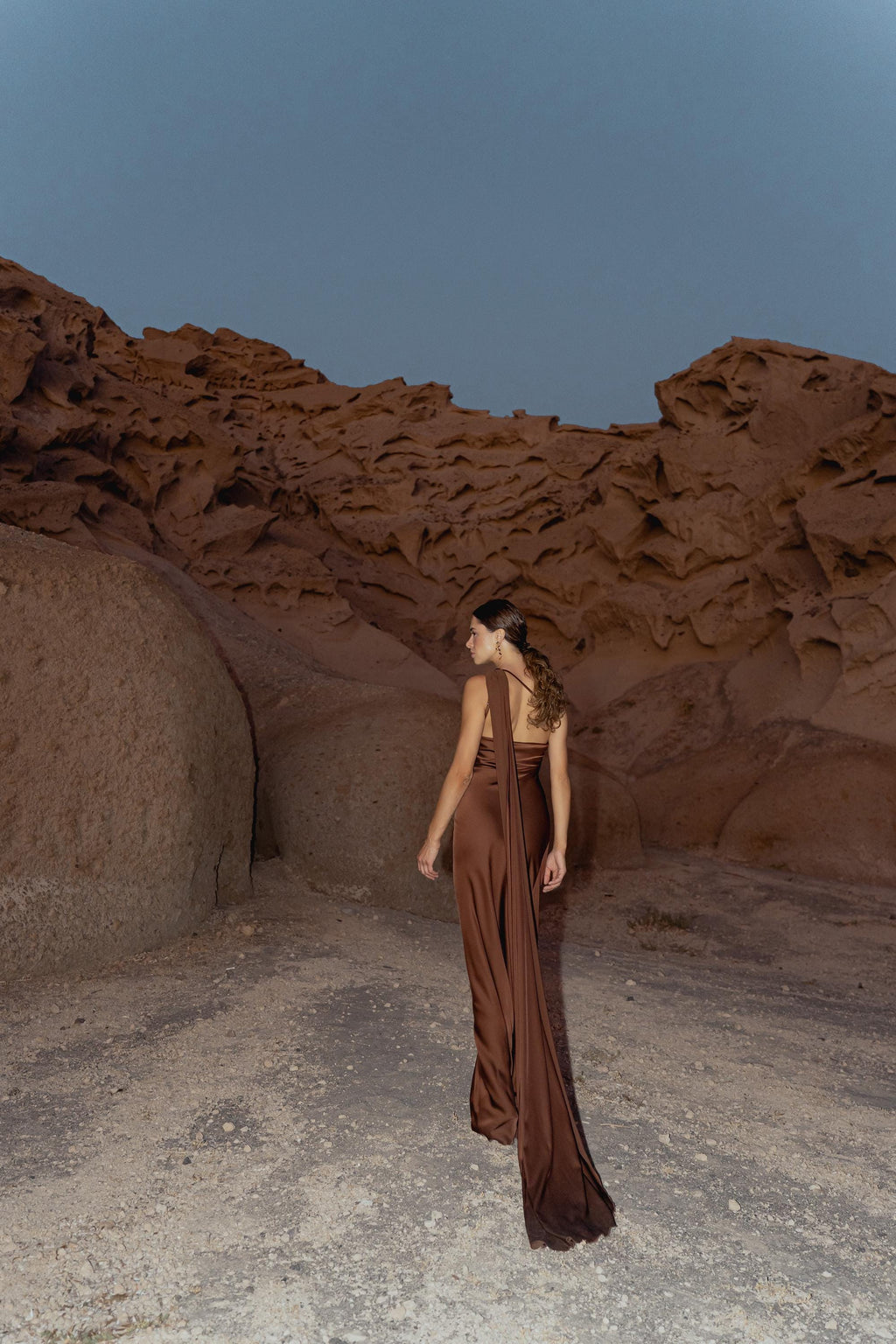 Satin Silk Maxi Dress: Brown Backless Wedding Guest Dress