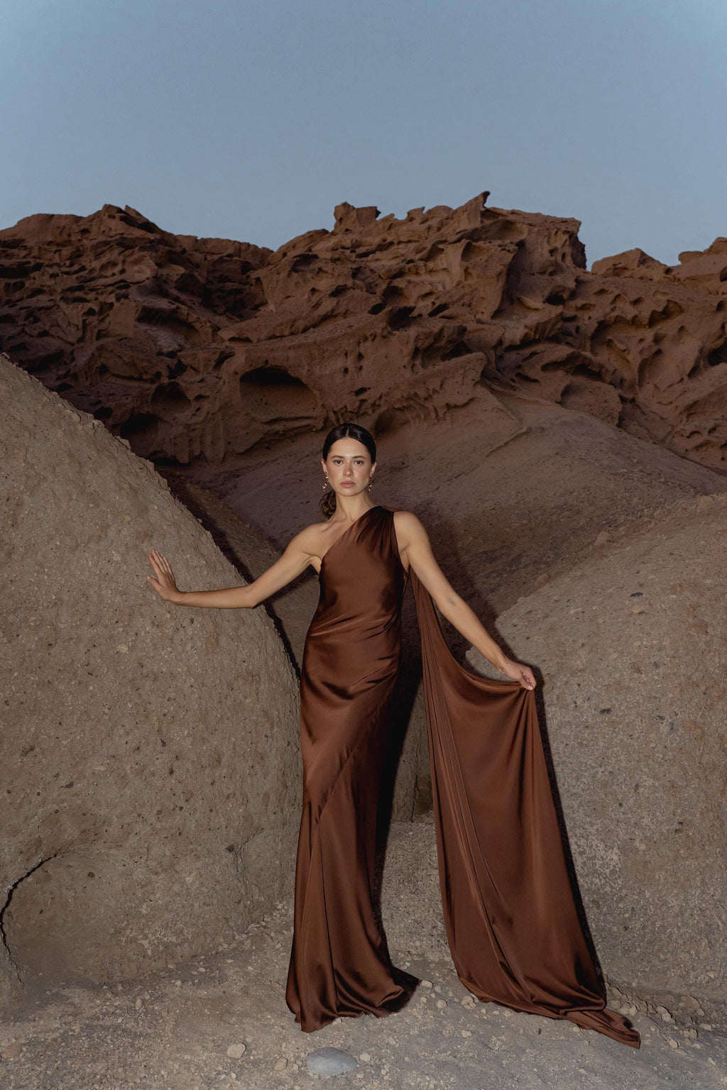 Satin Silk Maxi Dress: Brown Backless Wedding Guest Dress