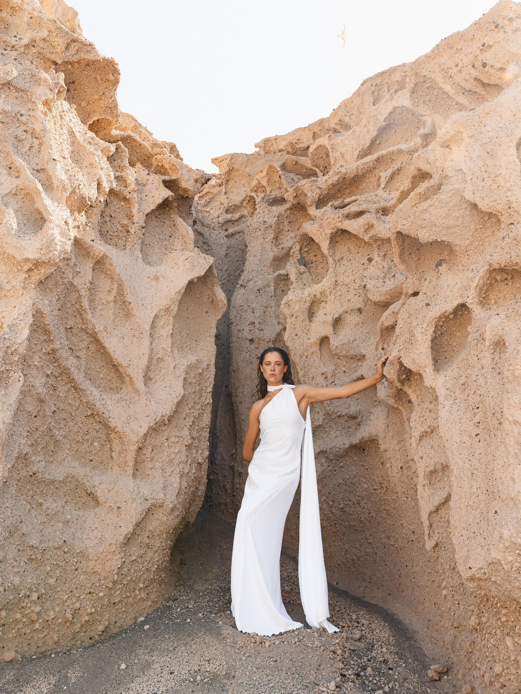 Satin Silk Maxi Dress: Brown Backless Wedding Guest Dress
