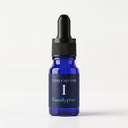 The Apothecary Edition — Twelve Oils, Two Archives