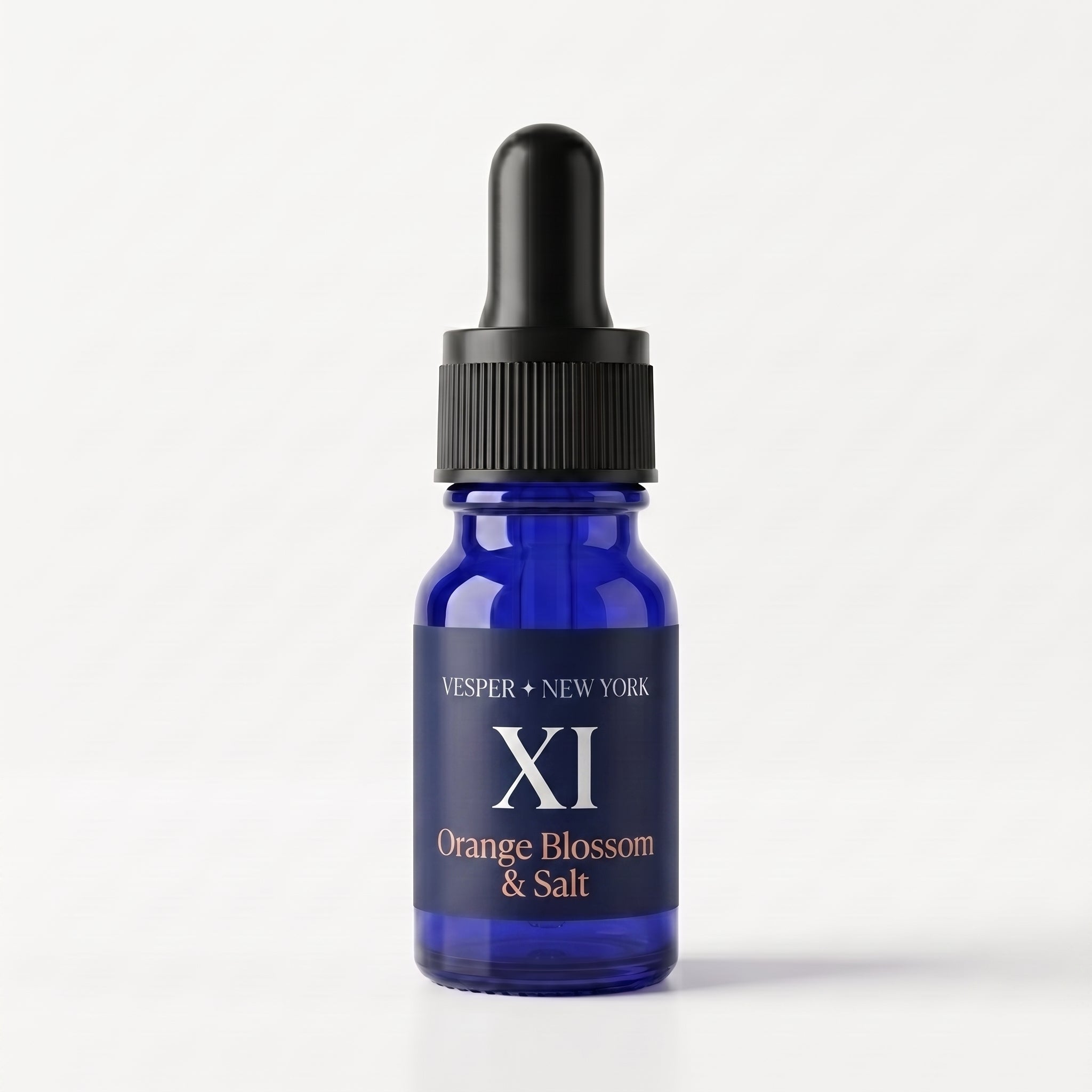 The Apothecary Edition — Twelve Oils, Two Archives