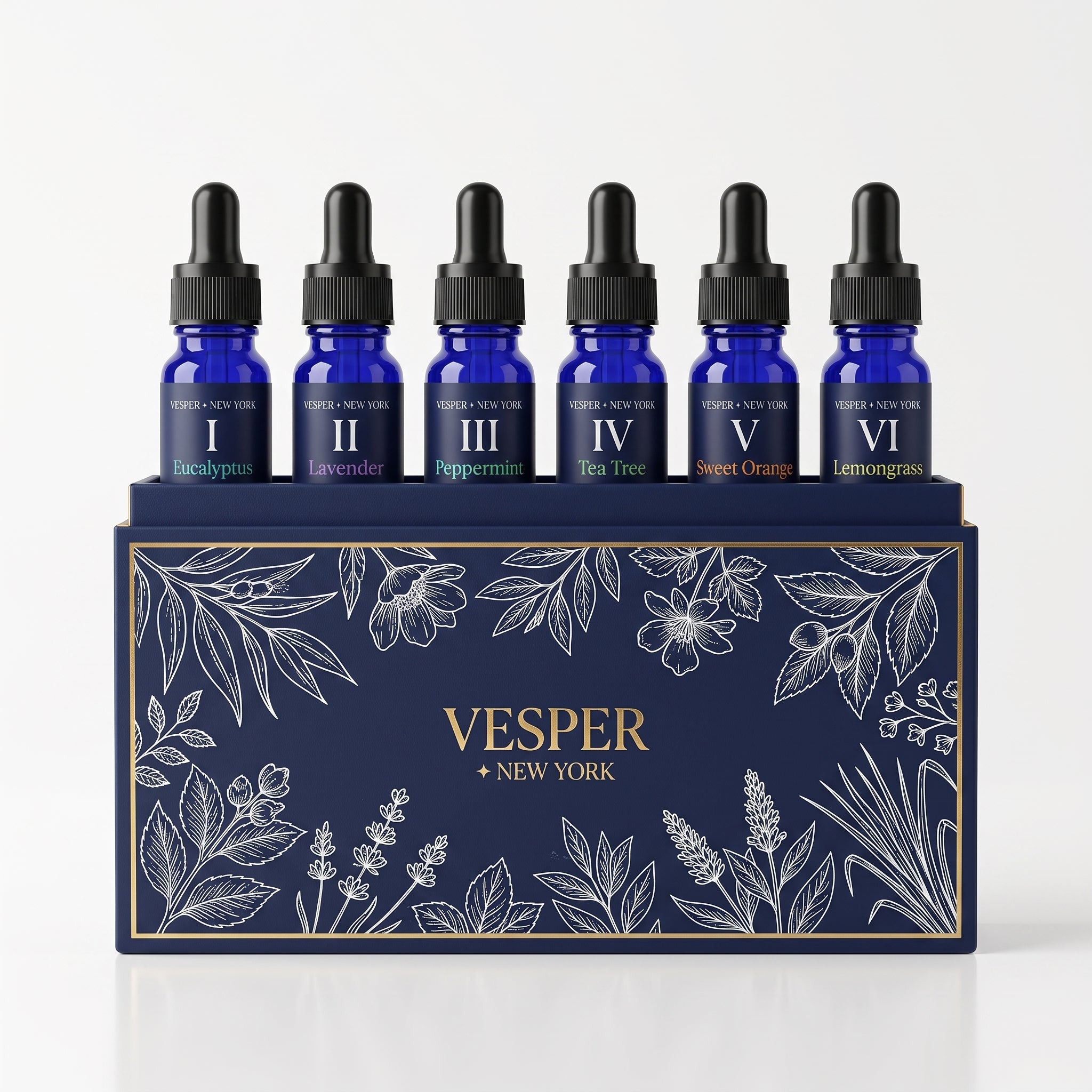 The Apothecary Edition — Twelve Oils, Two Archives
